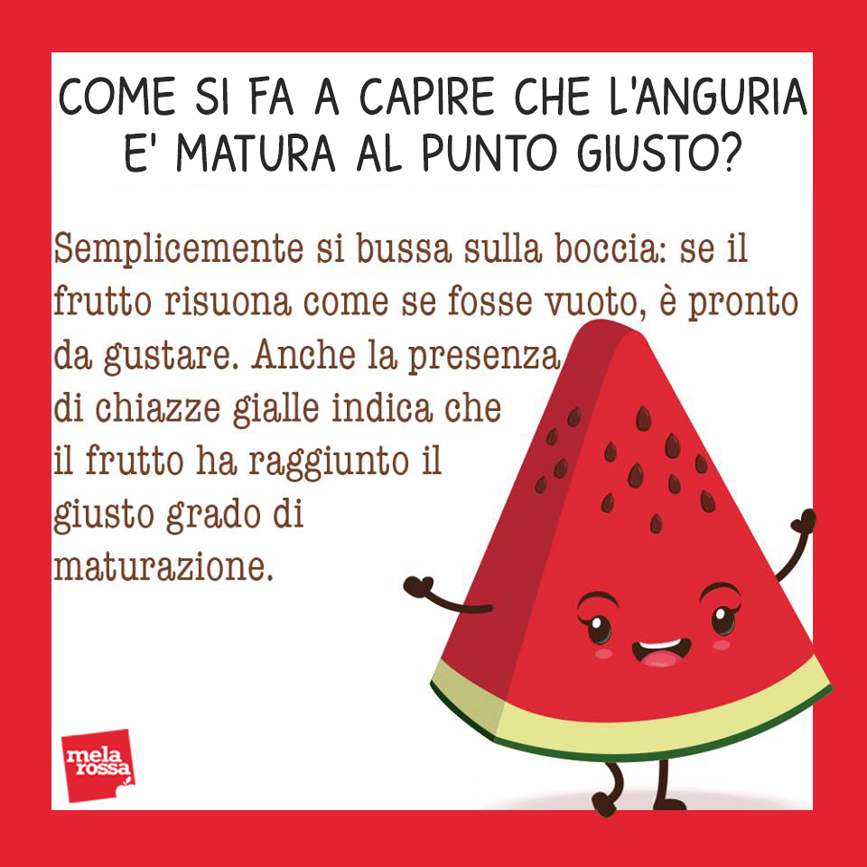 Anguria: guida all'acquisto