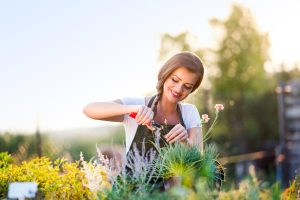 Contro ansia e solitudine provate il giardinaggio!