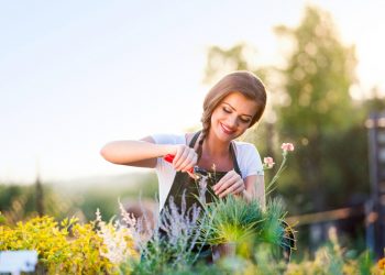 contro-ansia-solitudine-giardinaggio