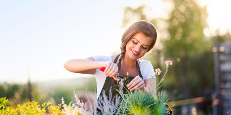 contro-ansia-solitudine-giardinaggio