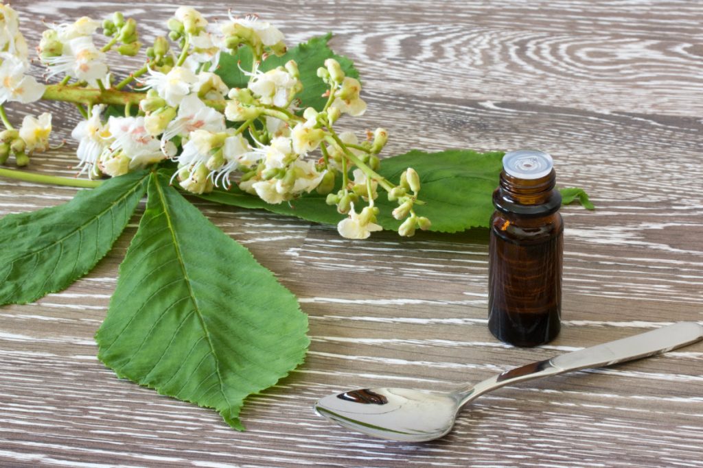 Fiori di Bach cosa sono e come usarli Melarossa