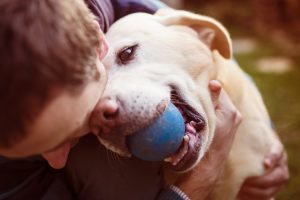 Oggi è la giornata mondiale del cane! Un amico a 4 zampe fa bene al cuore e allunga la vita