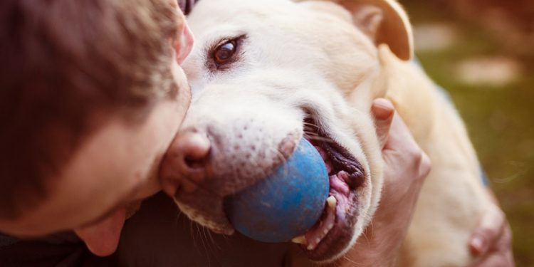 giornata-mondiale-cane