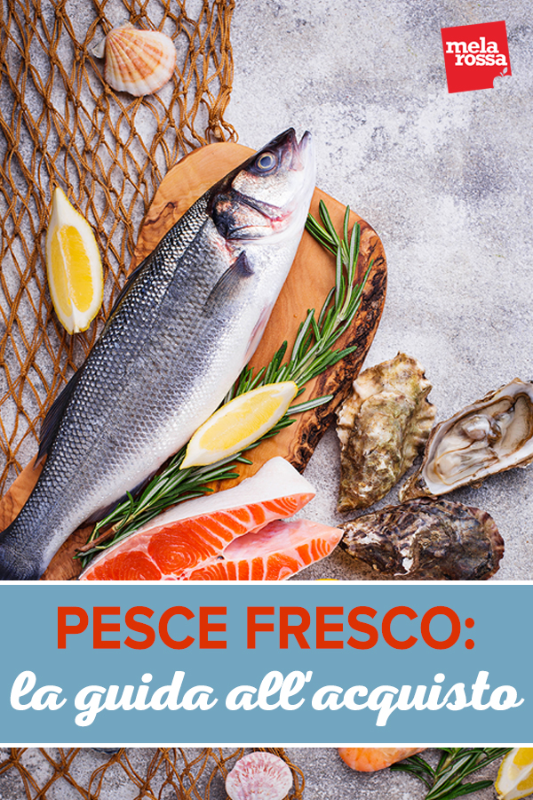 pesce-fresco