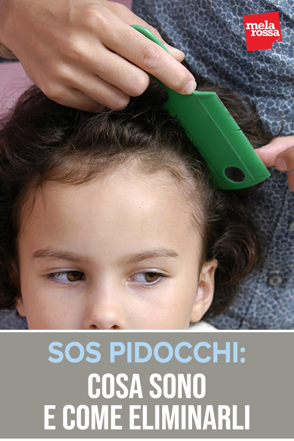 pidocchi: cosa sono come eliminarli