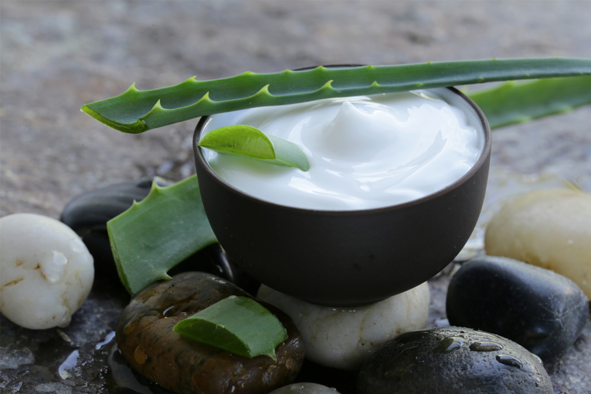aloe vera: le proprietà curative per la pelle e i capelli
