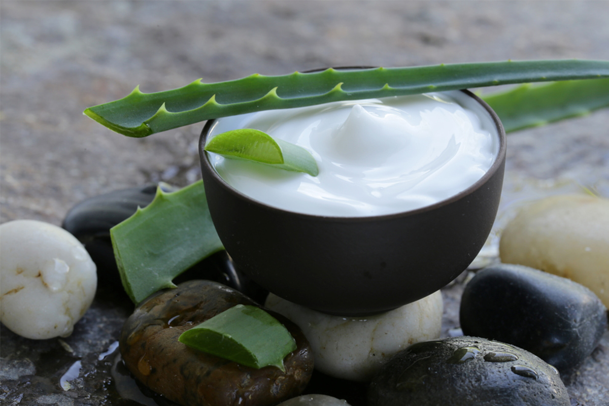 Aloe vera: benefici consigli d'uso di gel e succo - Melarossa