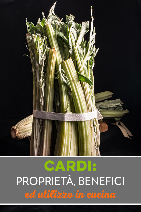 cardi