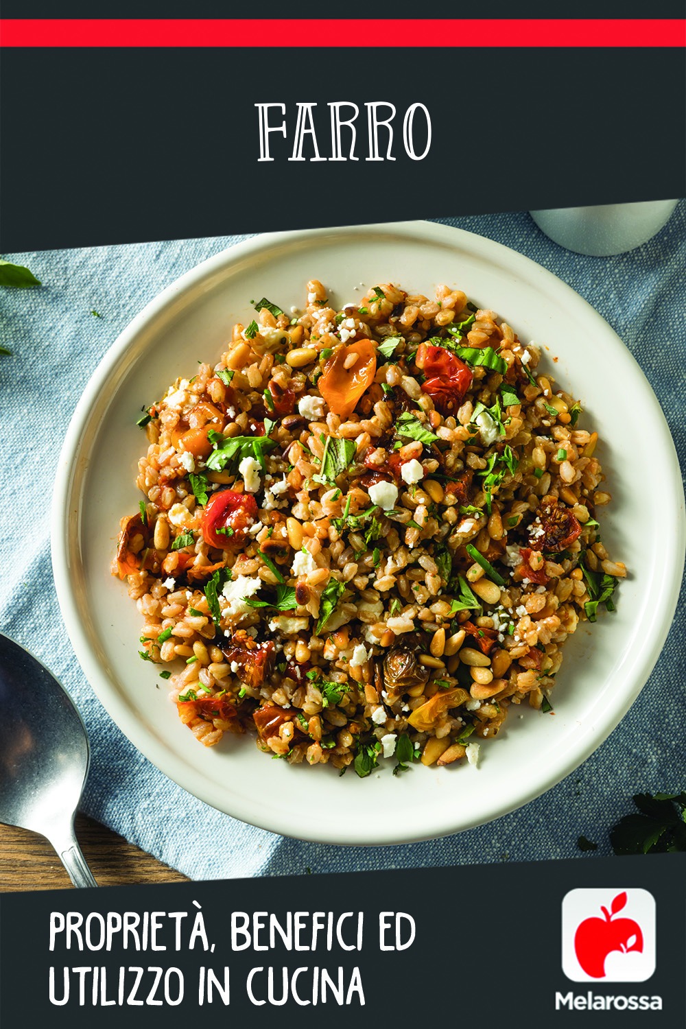 Farro: proprietà, benefici ed utilizzo in cucina