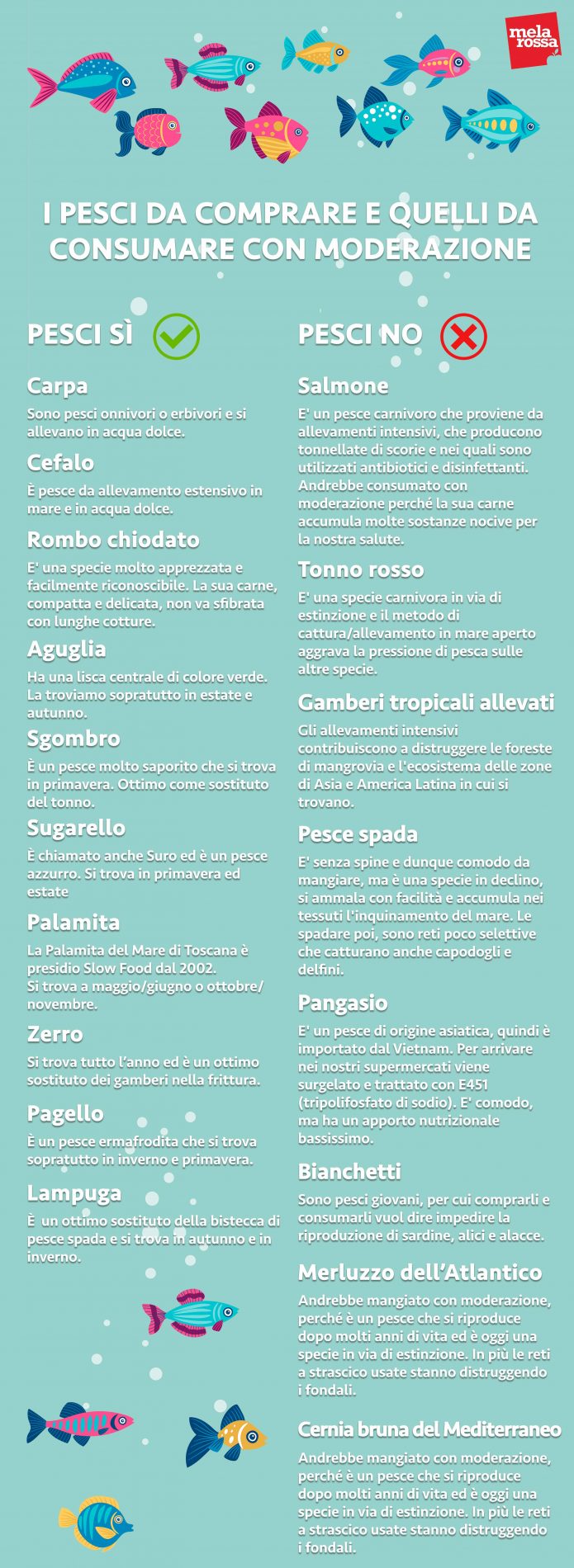 guida acquisto pesce: specie da consumare e specie da evitare