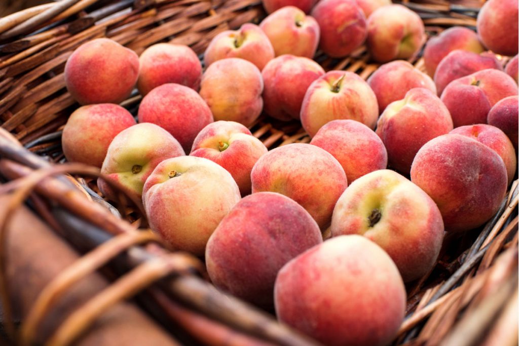 pesche: quali scegliere