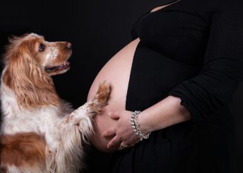 dieta per ogni età della donna: gravidanza