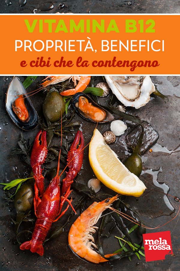 vitamina B 12