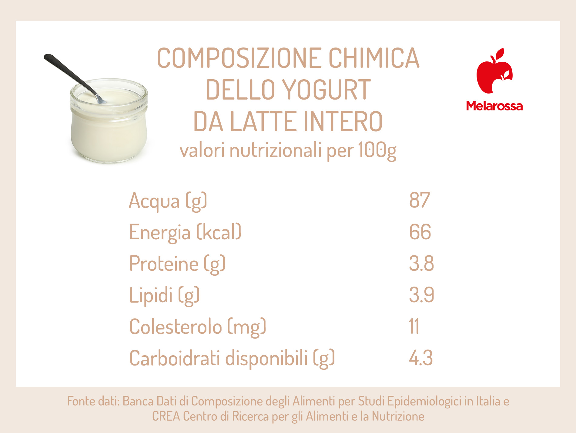 Yogurt: composizione chimica