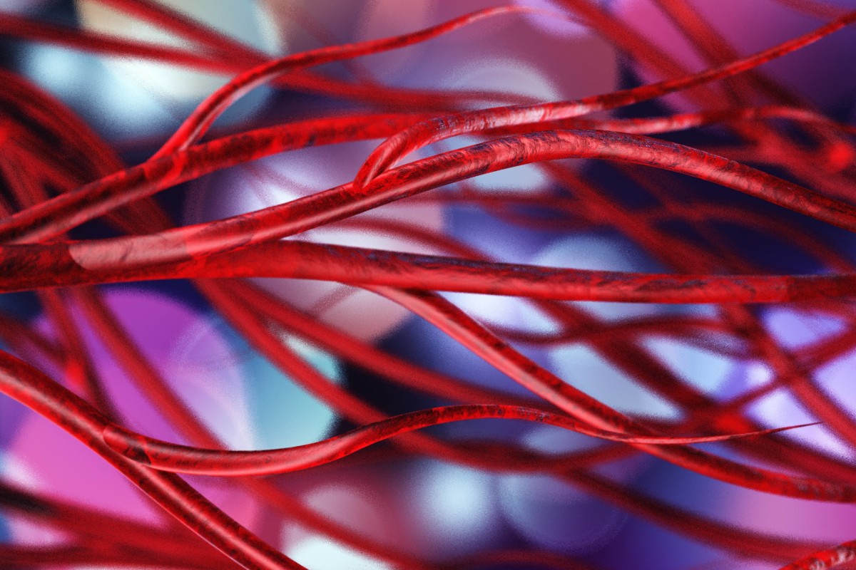 arterie cos'è
