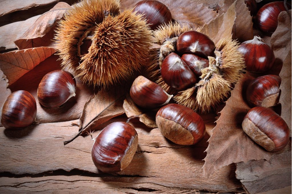 Castagne benefici salute