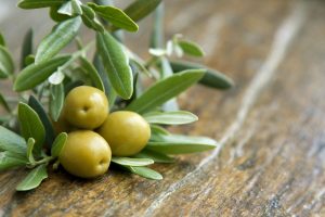 Foglie di olivo: proprietà benefiche per la cura del viso