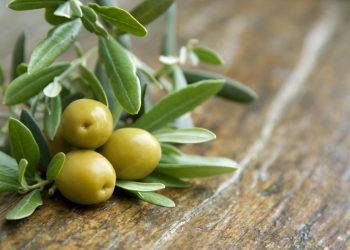 foglie-olivo-proprietà-benefiche
