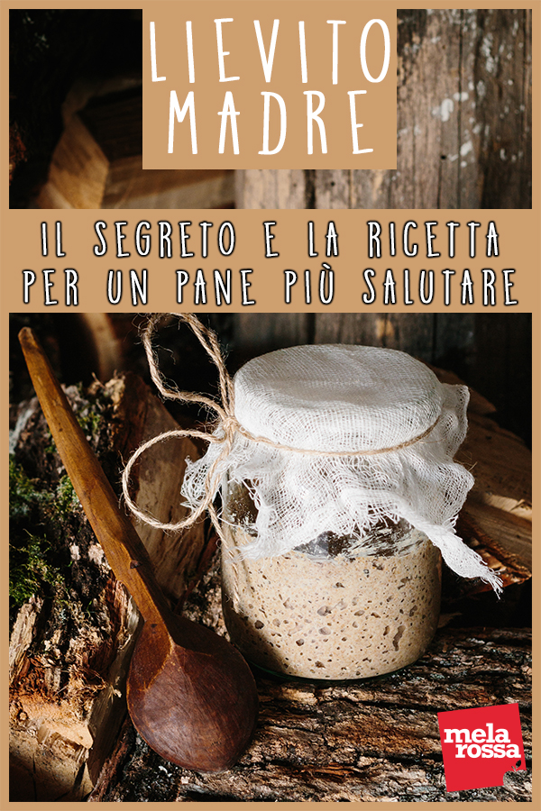Lievito madre, la ricetta