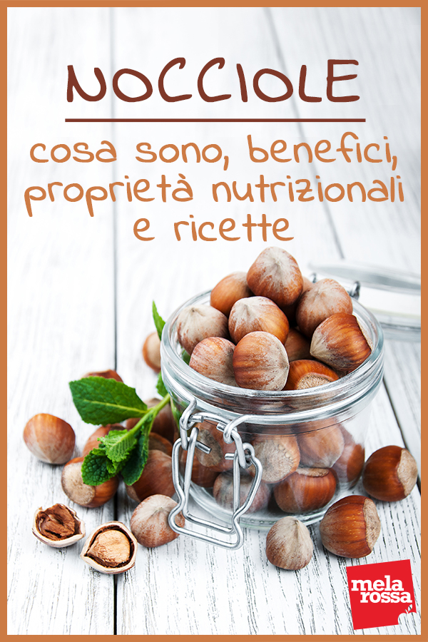 nocciole: benefici, valori nutrizionali e ricette