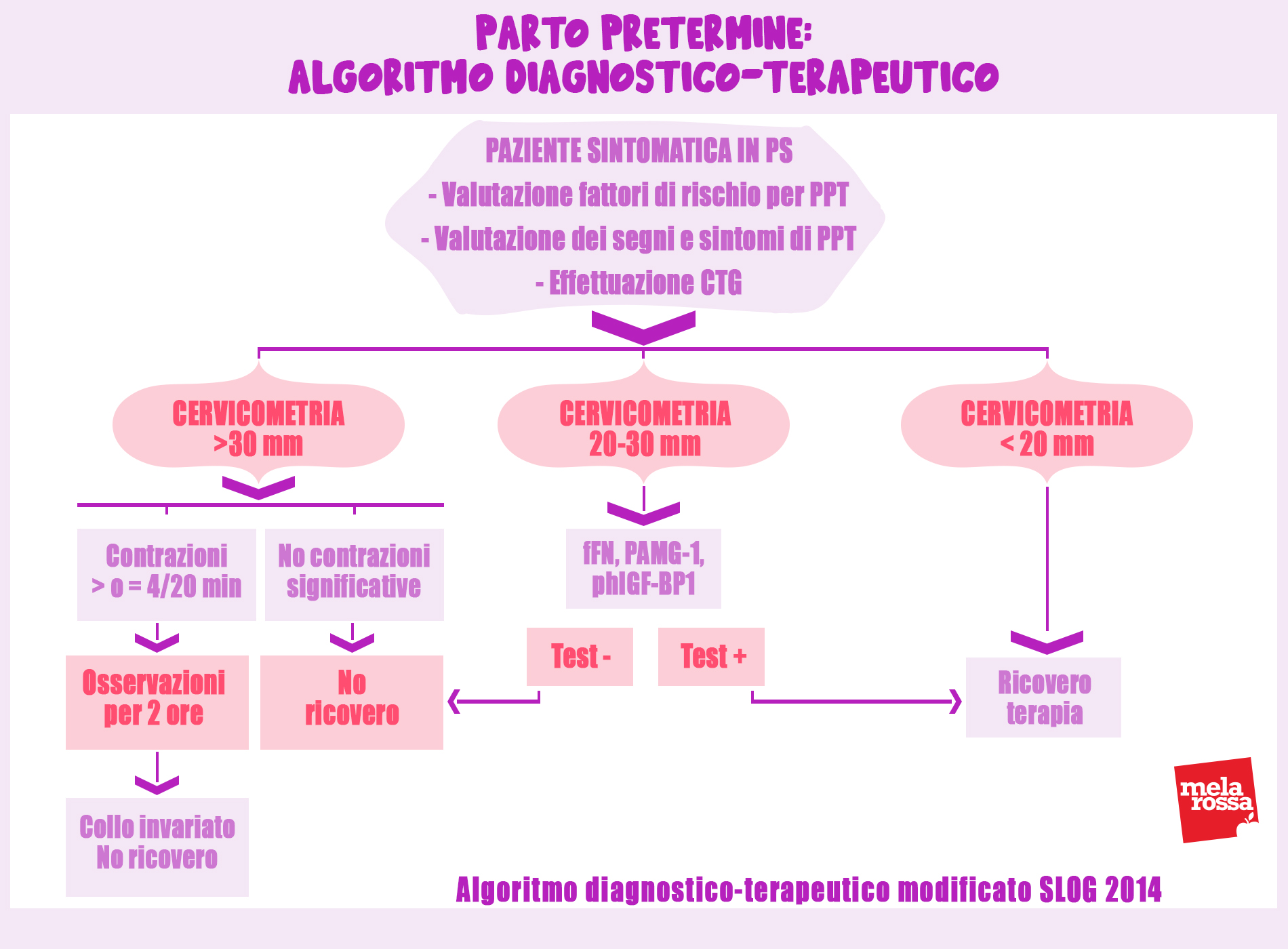 parto nella specie umana: parto pretermine algoritmo diagnostico terapeutico