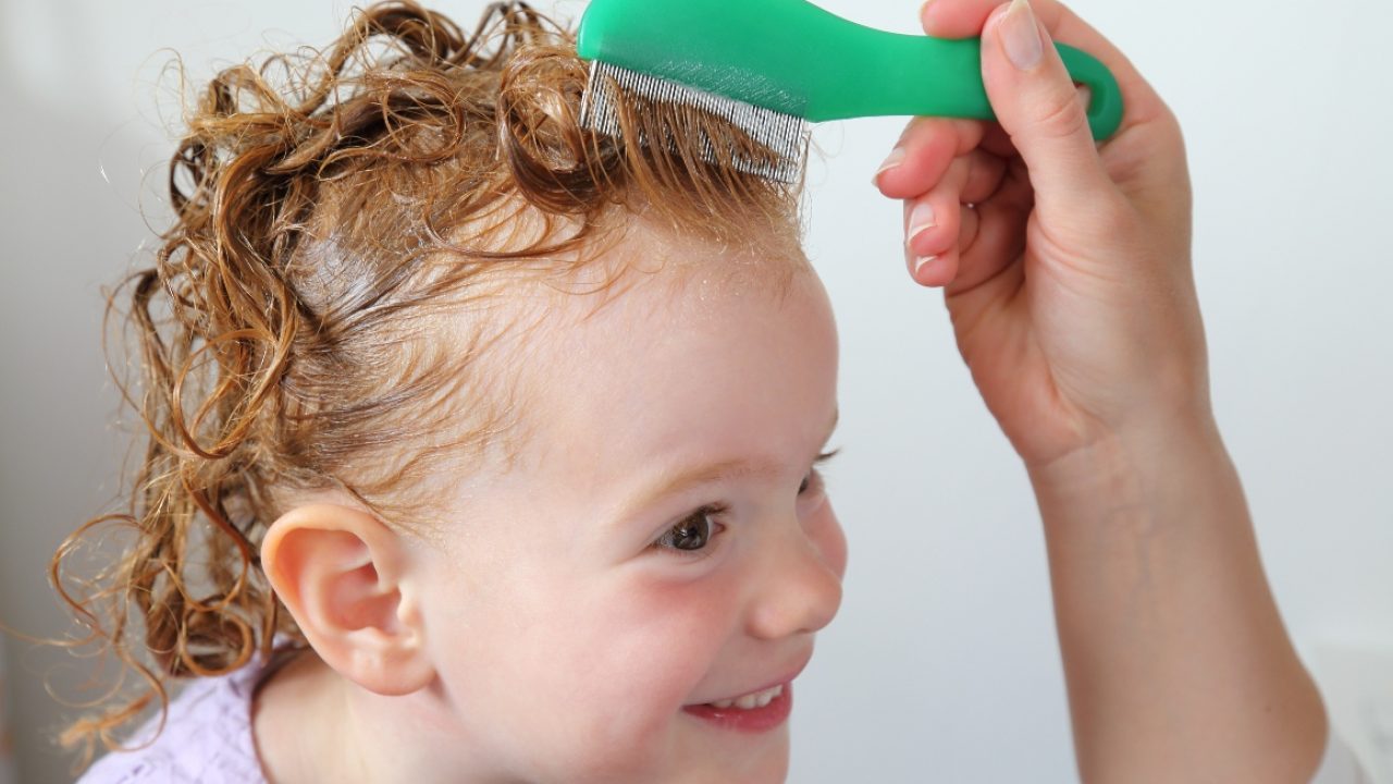 Pidocchi Ecco Come Eliminarli Prevenzione E Rimedi Melarossa