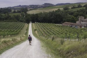 Via Francigena in Sicilia: le tappe e come prepararsi al lungo cammino, tra storia, natura e borghi