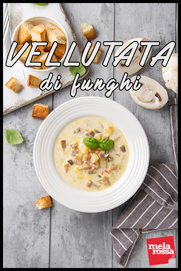 vellutata funghi