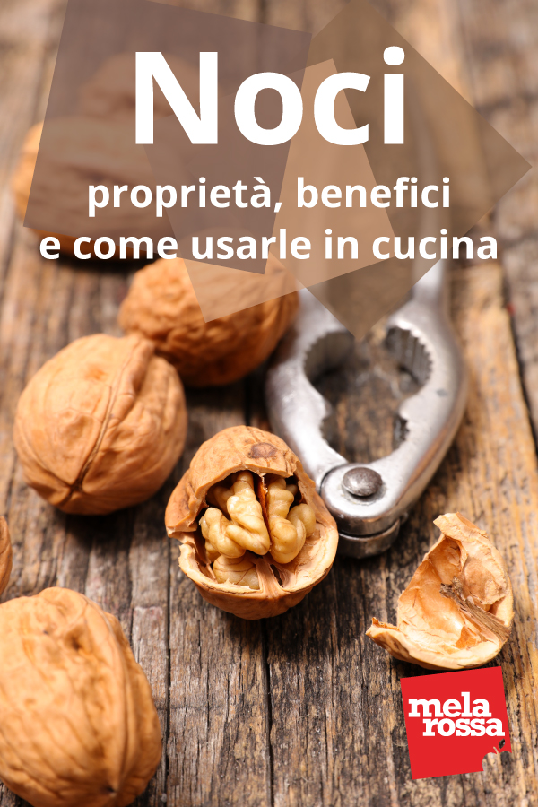 pin noci