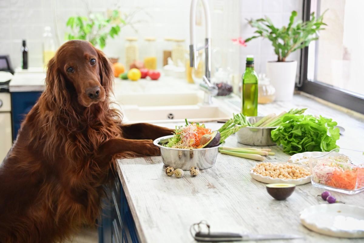 dieta vegetariana di Melarossa per dimagrire