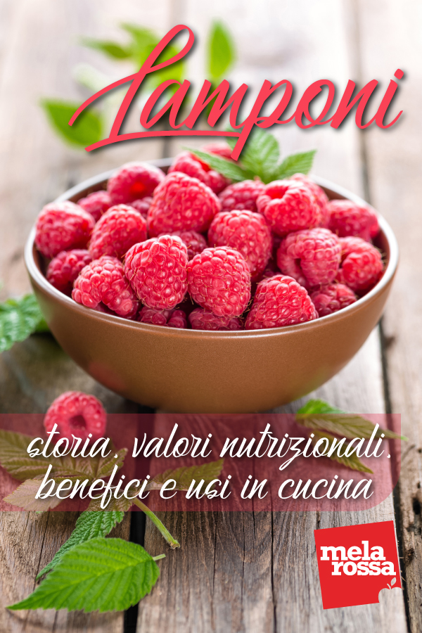 lamponi: benefici e ricette