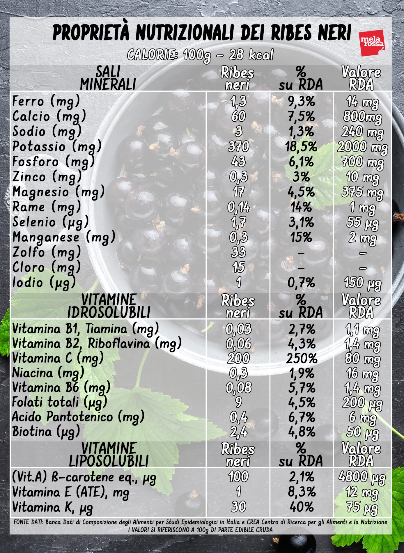 ribes neri: valori nutrizionali