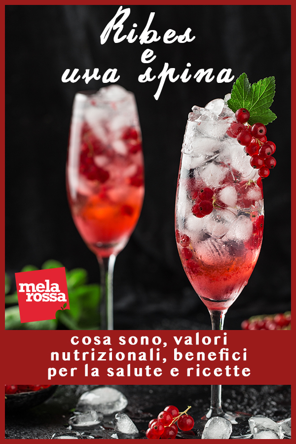 ribes: cosa sono e i benefici per la salute