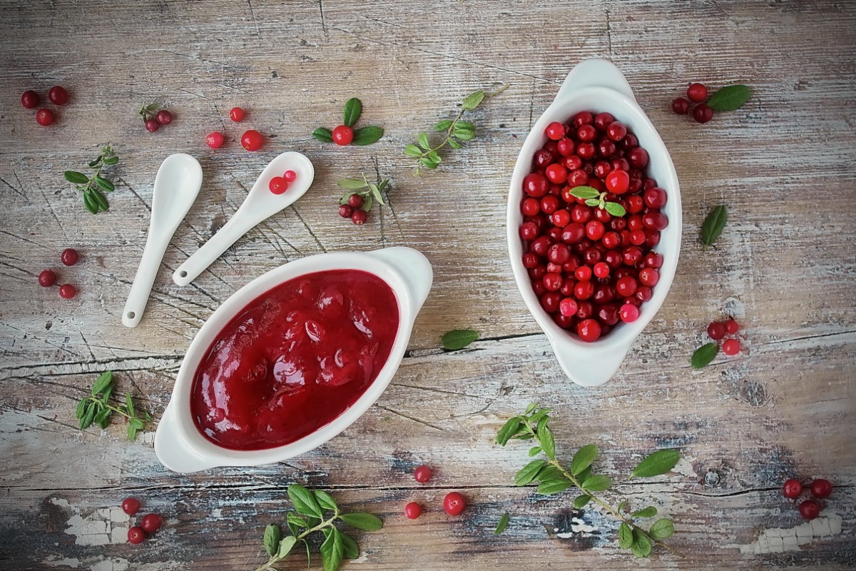 salsa cranberry
