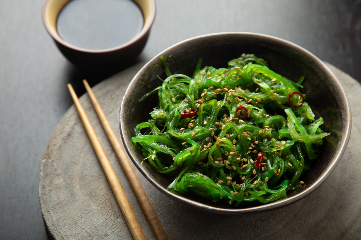 alga wakame 