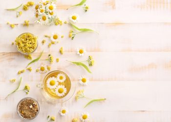 alcuni fiori di camomilla e una tazza di tisana su un tavolo