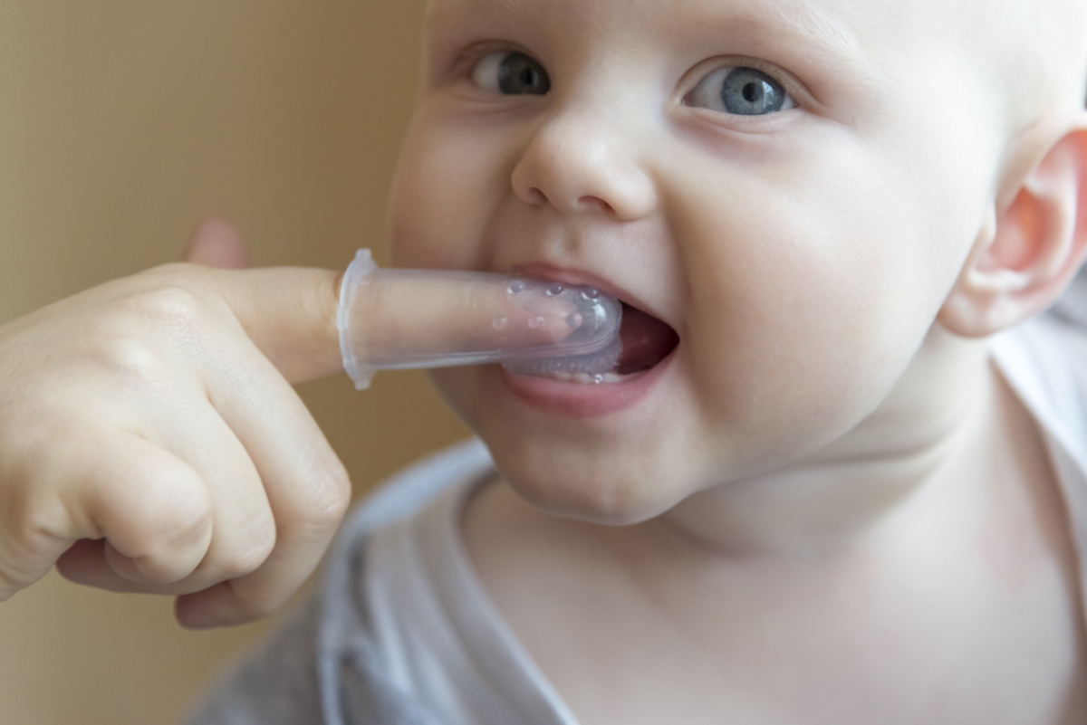 camomilla romana per mal di denti bambino