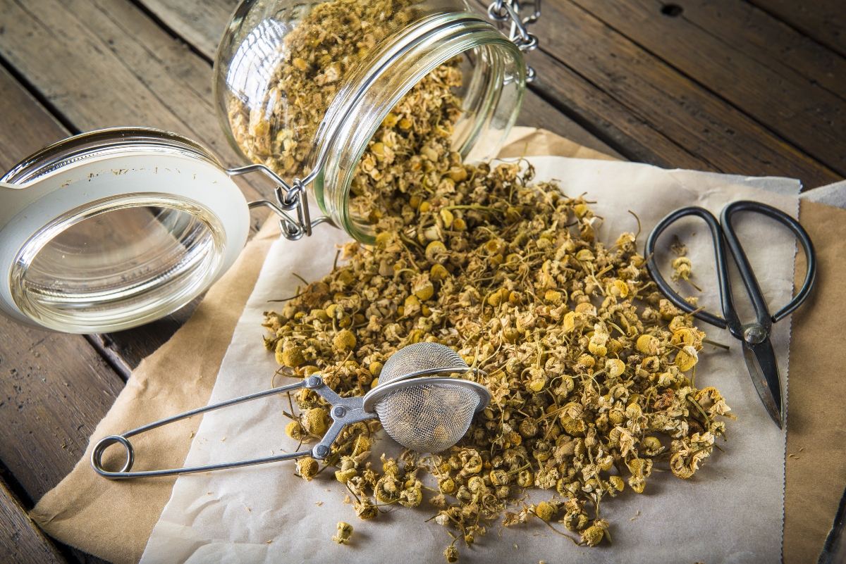 camomilla essiccata: come prepararla in casa