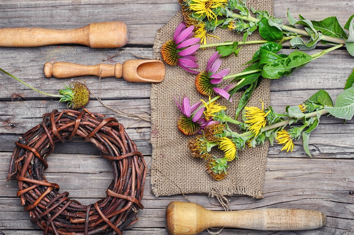 Alcuni fiori di echinacea su un tavolo in legno