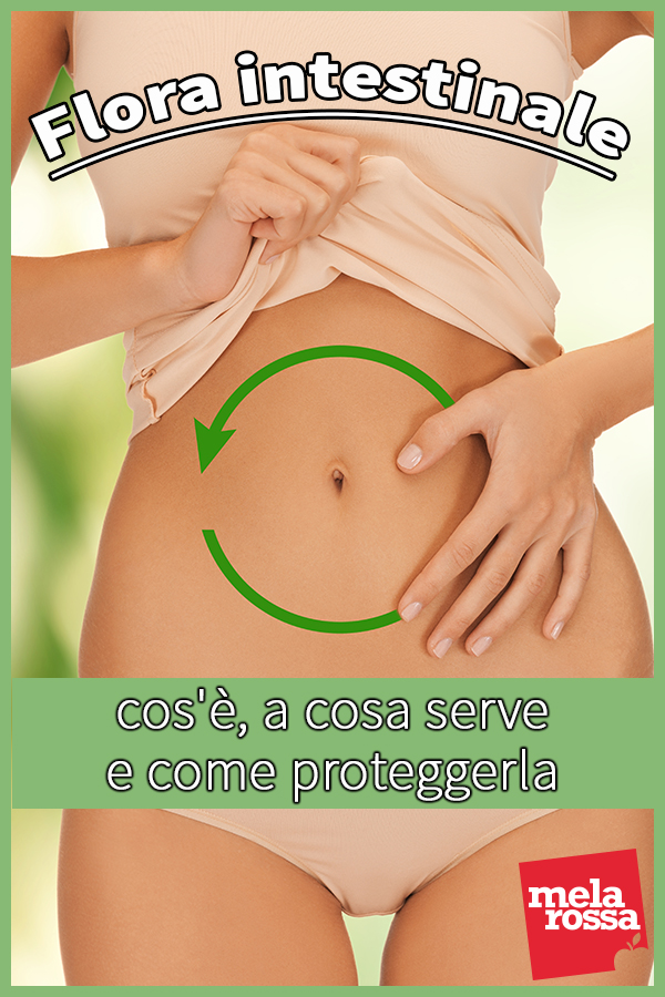 flora intestinale: come proteggerla