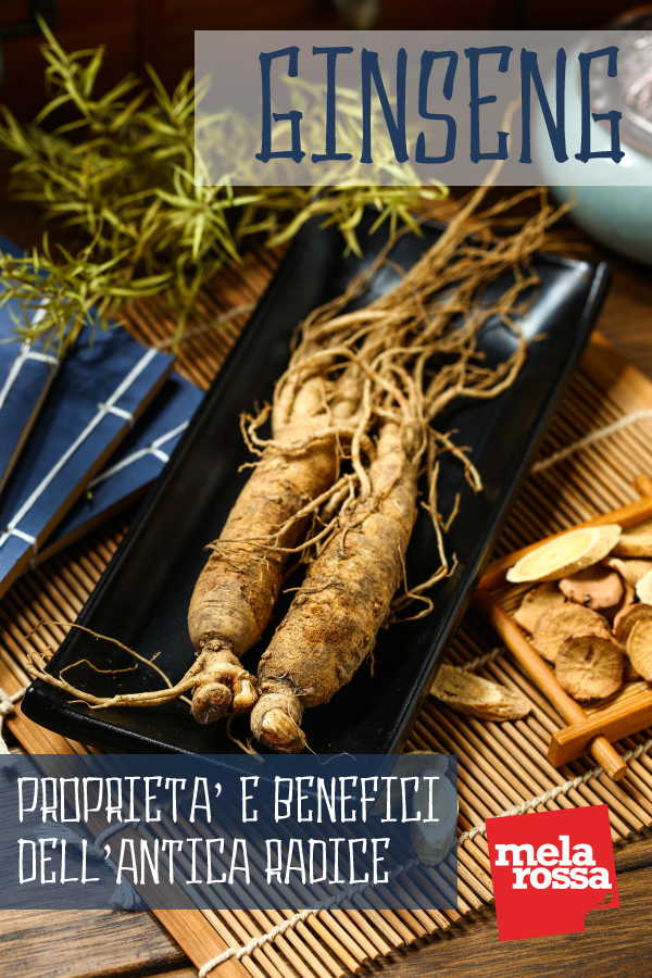 ginseng