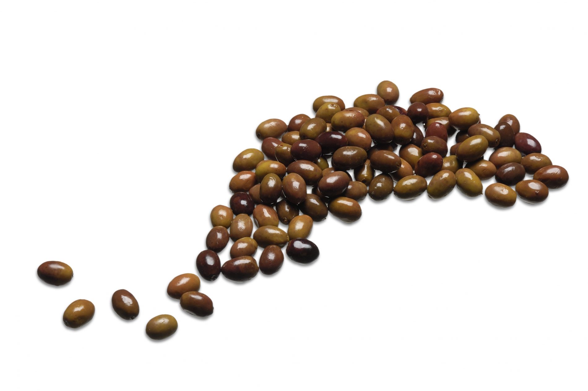 olive nere taggiasche