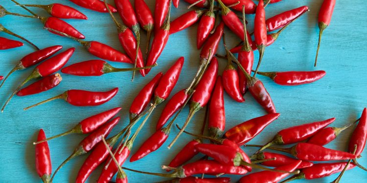 Peperoncino: mangiarlo almeno 4 volte alla settimana dimezza il rischio di morte per infarto e ictus