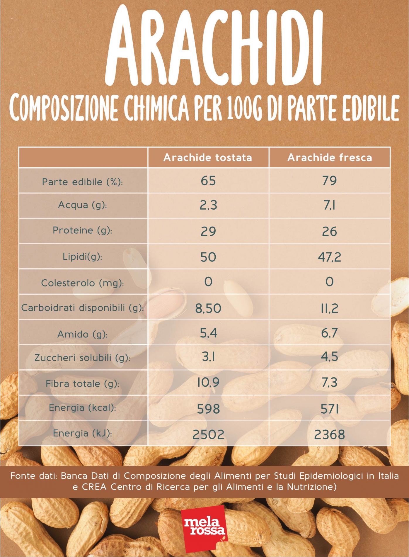 arachidi freschi e tostati: composizione chimica
