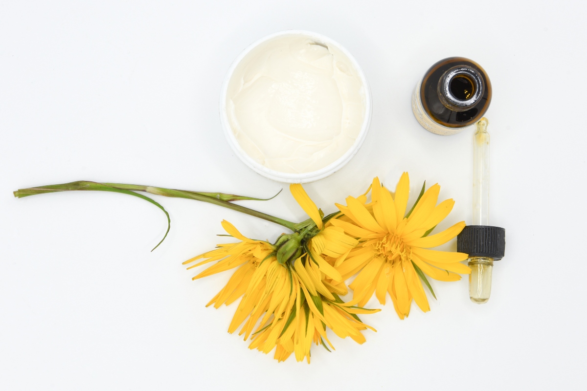 Arnica: usi, proprietà e controindicazioni - Melarossa