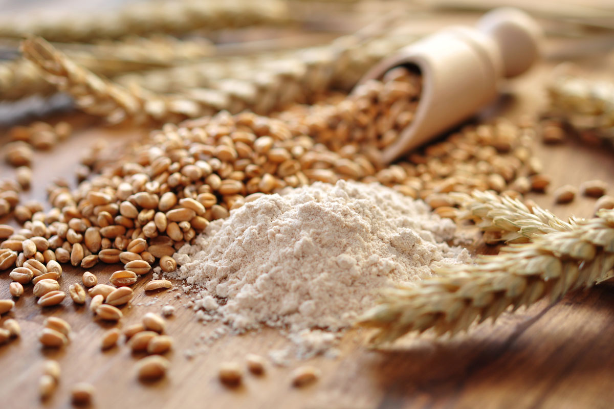 Cereali proprietà nutrizionali