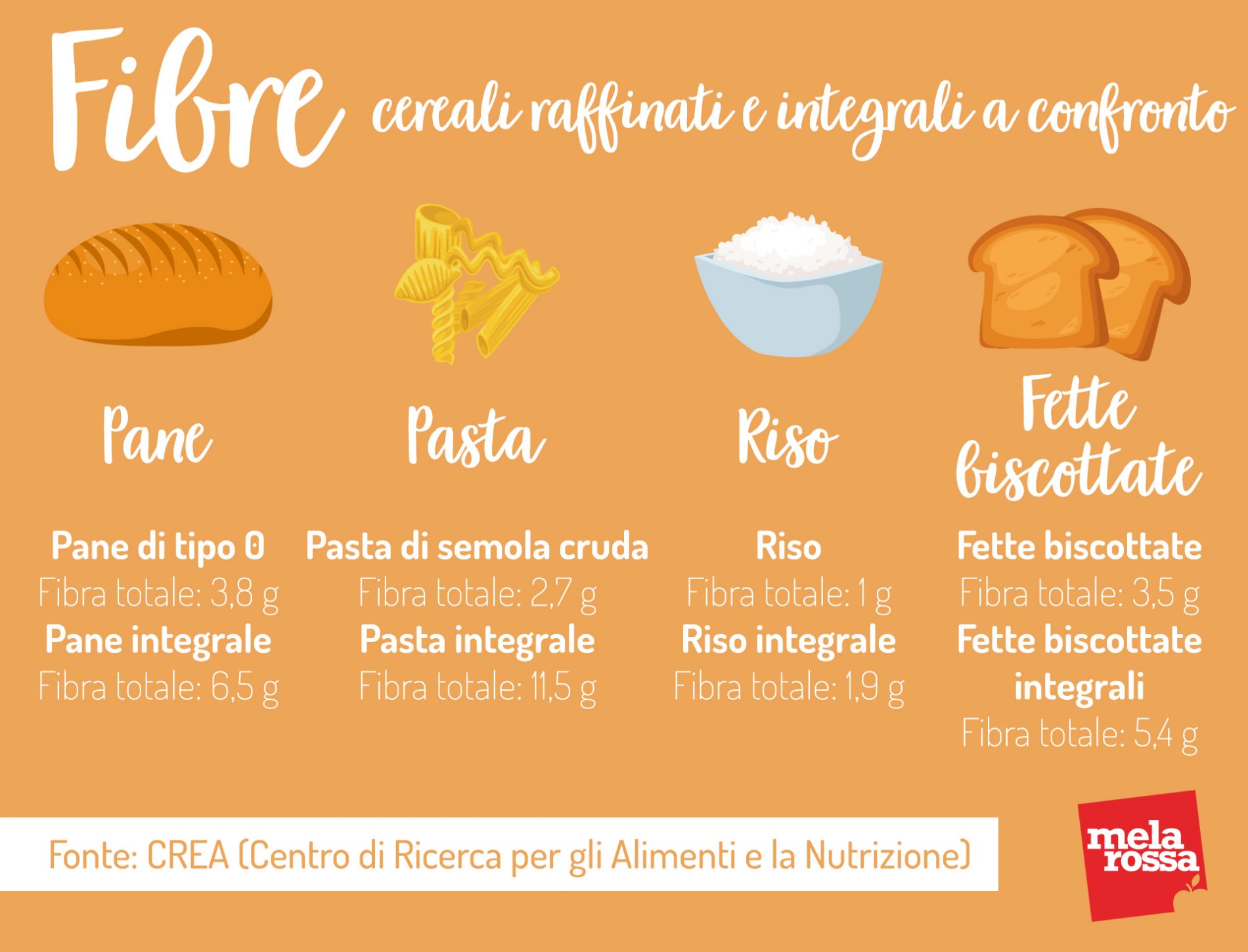 Cereali raffinati e integrali: contenuto di fibre