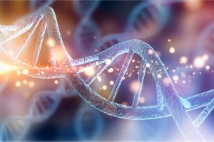 Ricerca, individuato un codice tridimensionale del Dna
