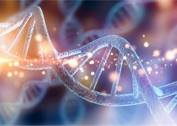 Individuato codice tridimensionale nel Dna