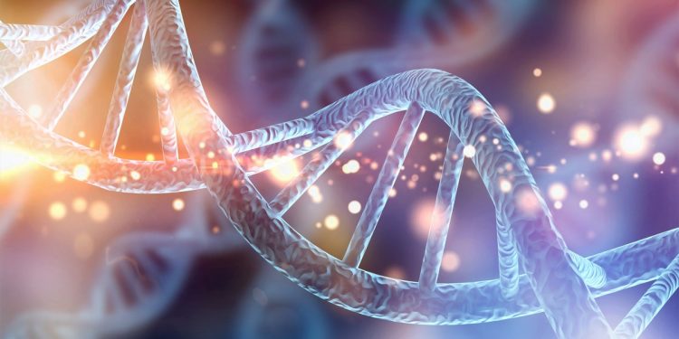 Individuato codice tridimensionale nel Dna